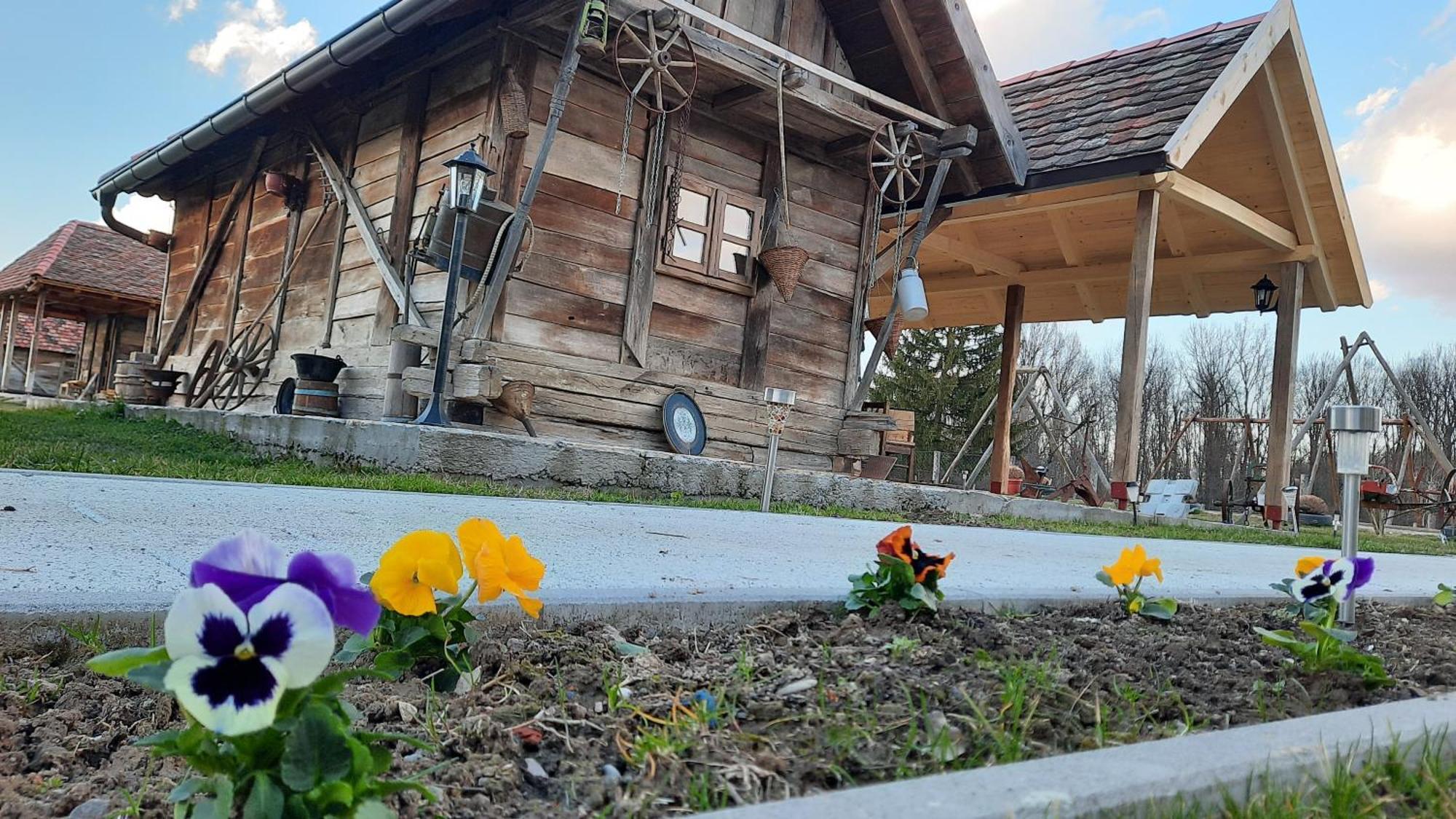 ホテル Etno Selo Eden Zeravacki Potok 部屋 写真